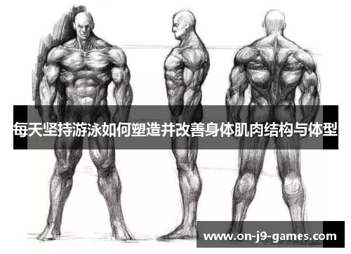 每天坚持游泳如何塑造并改善身体肌肉结构与体型