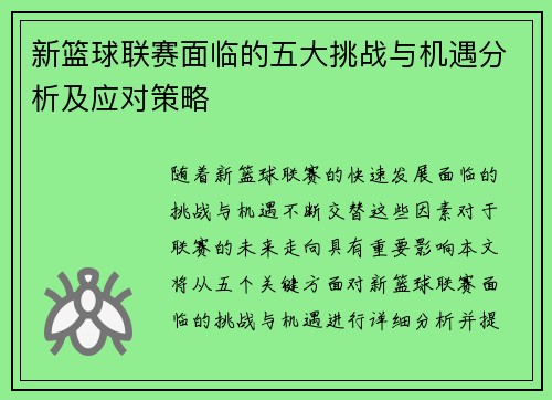 新篮球联赛面临的五大挑战与机遇分析及应对策略